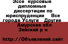 Эссе, курсовые, дипломные, диссертации по юриспруденции! - Все города Услуги » Другие   . Амурская обл.,Зейский р-н